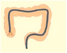 招募2.png 招募2.png